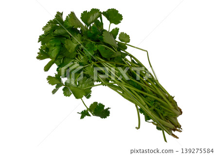 Parsley Sprig Isolated on Clean White Parsley Sprig Isolated on Clean White 139275584