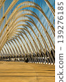 White steel arches of Santiago Calatrava at Athens Olympic Complex, Greece. 139276185