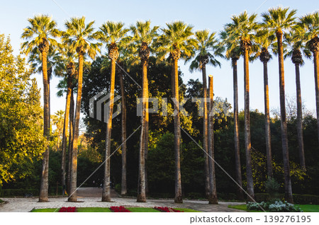 Tall palm trees at entrance of National Garden Athens, Greece. Tall palm trees at entrance of National Garden Athens, Greece. 139276195