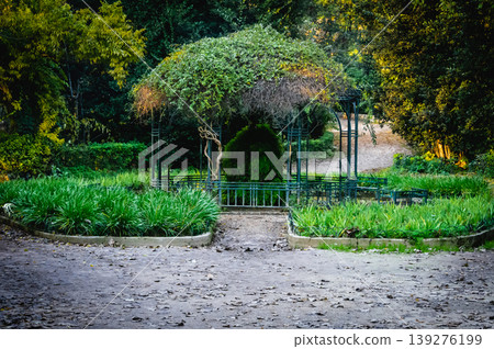 Green gazebo with climbing plants in National Garden Athens, Greece. Green gazebo with climbing plants in National Garden Athens, Greece. 139276199