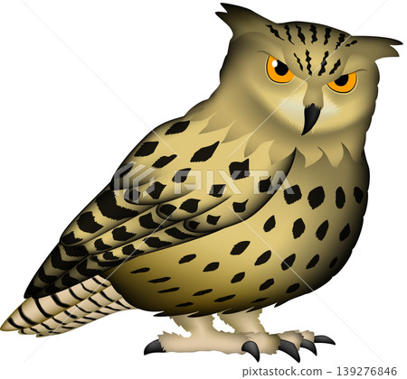 可愛的猛禽/野生鳥類/貓頭鷹插圖:“大角鴞”,白色背景,單張圖片,向量格式。 可愛的猛禽/野生鳥類/貓頭鷹插圖:“大角鴞”,白色背景,單張圖片,向量格式。 139276846