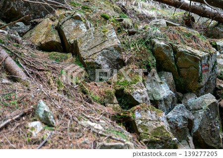 View of many fallen stones covered with earth and moss on the mountainside View of many fallen stones covered with earth and moss on the mountainside 139277205