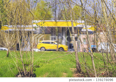 Spring trees with budding branches grow in green grass near blurred blurred street, yellow gas station and car in urban park. Spring renewal, seasonal growth, transport, city landscaping, nature Spring trees with budding branches grow in green grass near blurred blurred street, yellow gas station and car in urban park. Spring renewal, seasonal growth, transport, city landscaping, nature 139278096