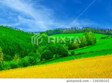 Extensive wheat field 139280101