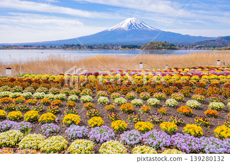 (山梨縣)從河口湖大石公園可以看到富士山,那裡鮮花盛開,景色優美。 (山梨縣)從河口湖大石公園可以看到富士山,那裡鮮花盛開,景色優美。 139280132