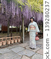 春天，一位穿著和服的人在寺廟裡欣賞紫藤花架。 139280237