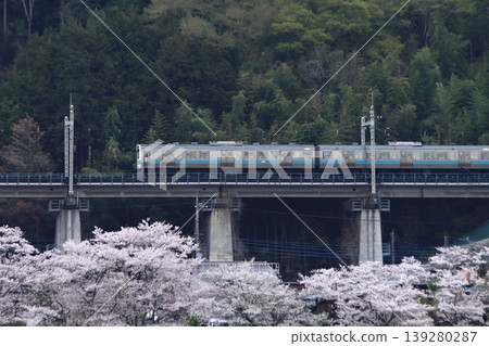 清晨,一列211系列車沿著中央東線行駛,下方盛開的櫻花為其送行。 (攝於2026年4月11日) 清晨,一列211系列車沿著中央東線行駛,下方盛開的櫻花為其送行。 (攝於2026年4月11日) 139280287