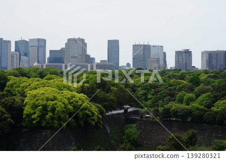 摩天大樓與皇宮北瀧峽 千代田 1131年4月 皇宮與摩天大樓/北瀧峽 139280321