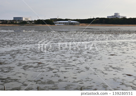 Yatsu tidal flat at low tide Yatsu tidal flat at low tide 139280551