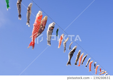 游泳在天空的鯉魚飄帶 游泳在天空的鯉魚飄帶 139280631
