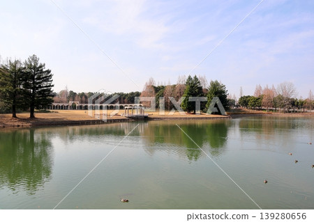 冬日公園裡清晨的迷人景色。 冬日公園裡清晨的迷人景色。 139280656