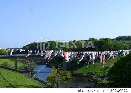 Wakanomiya公園的鯉魚飄帶 Wakanomiya公園的鯉魚飄帶 139280672