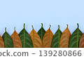 Green and Brown Leaf Frame with Minimalist White Background 139280866