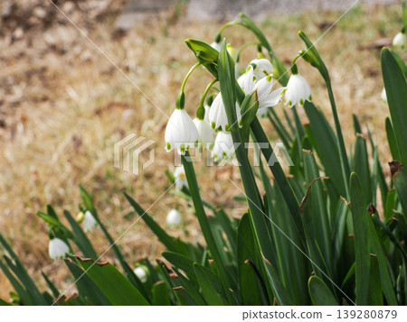 landscape with snowflake landscape with snowflake 139280879