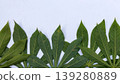 Fresh Green Leaf Frame with Minimalist White Background 139280889