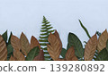 Combination of Green and Brown Leaves with Ferns as a Natural Border 139280892