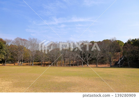 冬日公園，樹林，靜待春天的到來。 139280909