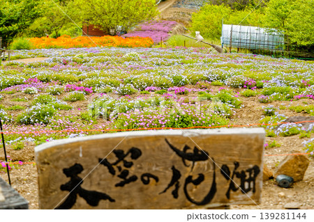 Shishijima, the Flower Garden in the Sky Shishijima, the Flower Garden in the Sky 139281144
