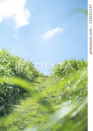 高原上的夏日青草和藍天（大山京賀成） 139281247