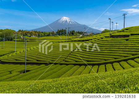 從富士市天滿茶園眺望富士山 從富士市天滿茶園眺望富士山 139281638