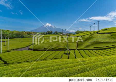 從富士市天滿茶園眺望富士山 139281640