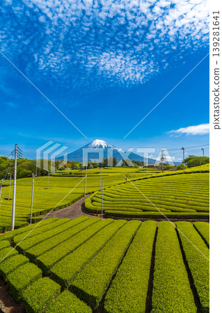 從富士市天滿茶園眺望富士山 從富士市天滿茶園眺望富士山 139281641