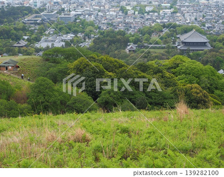 從鬱鬱蔥蔥的若草山俯瞰古都的瑰寶,景色令人嘆為觀止,其中包括東大寺的大佛殿。 從鬱鬱蔥蔥的若草山俯瞰古都的瑰寶,景色令人嘆為觀止,其中包括東大寺的大佛殿。 139282100