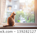 A cat gazing out at the outside world and the changing seasons of spring. 139282127