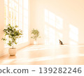 A space where a cat stands in an interior where natural light and shadows intertwine. 139282246