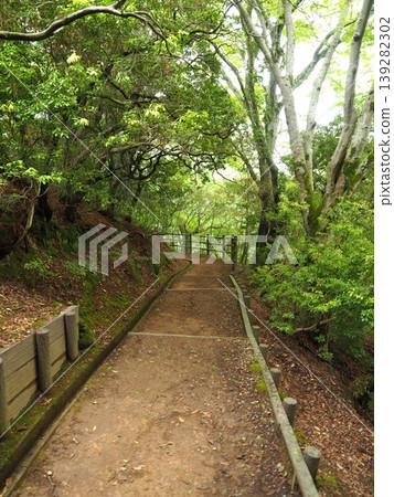 一條被自然美景環繞的健行路線。一條穿過若草山森林的宜人步道。 139282302