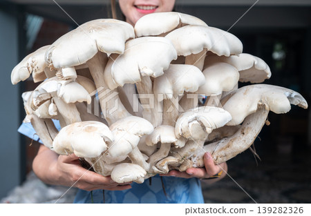 Woman holding big Macrogybe crassa mushroom in hands. This mushroom is a large, edible white mushroom native to tropical regions of Southeast Asia. 139282326