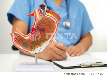 Stomach disease, doctor with anatomy model for study diagnosis and treatment in hospital. 139282365
