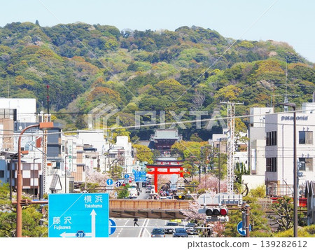 Kanagawa Prefecture: Wakamiya-oji Street and Tsurugaoka Hachimangu Shrine, April Kanagawa Prefecture: Wakamiya-oji Street and Tsurugaoka Hachimangu Shrine, April 139282612