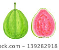 Guava - 3 139282918
