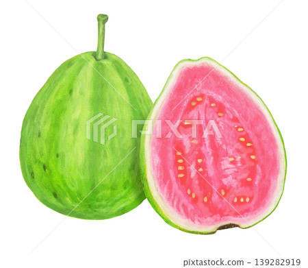 番石榴 - 2 番石榴 - 2 139282919