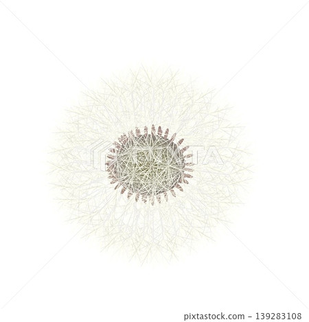 Dandelion fluff illustration Dandelion fluff illustration 139283108