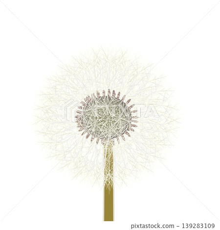 Dandelion fluff illustration Dandelion fluff illustration 139283109