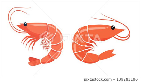 Two cooked shrimp isolated on white background with illustration crustacean isolated ingredient wildlife delicious appetizer swimming side view 139283190
