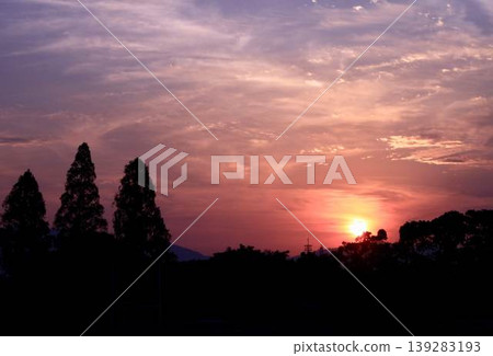 Beautiful sunset and silhouetted trees 139283193