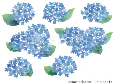一組水彩風格的繡球花插圖。 一組水彩風格的繡球花插圖。 139283413