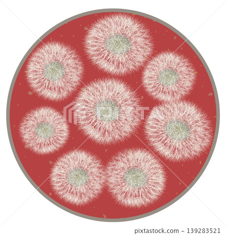 Dandelion fluff illustration with a circular background Dandelion fluff illustration with a circular background 139283521