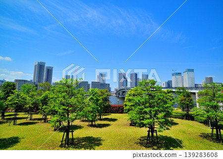 The Harumi Flag building complex as seen from Toyosu Gururi Park The Harumi Flag building complex as seen from Toyosu Gururi Park 139283608