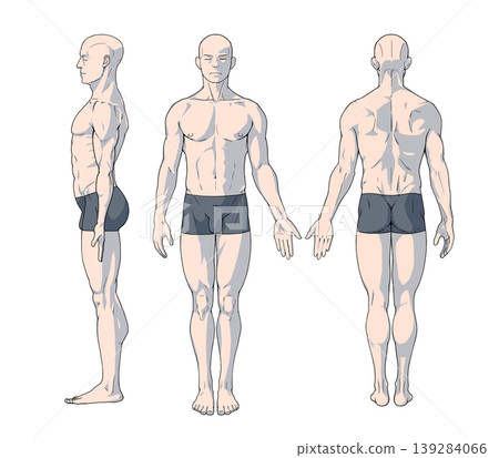 Three-view drawing of a standing male (body surface image) Three-view drawing of a standing male (body surface image) 139284066