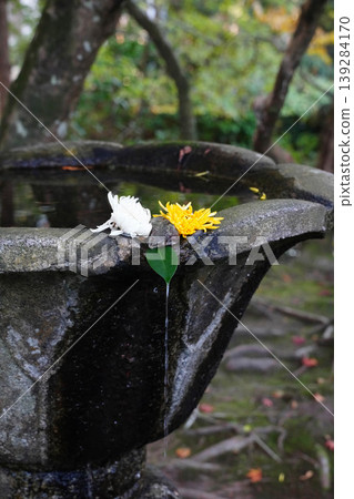 Water basin in the grounds of Honen-in Temple 139284170