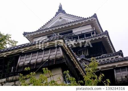 Matsuyama Castle Matsuyama Castle 139284316