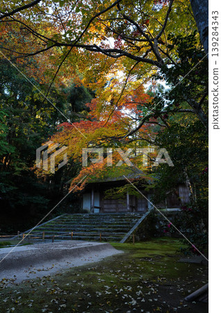 The main gate of Honen-in Temple in autumn twilight 139284343