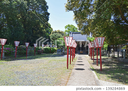 保福寺杜鵑公園－杜鵑花盛開 139284869