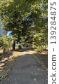A forest path bathed in the spring sunshine and dappled sunlight filtering through the trees. 139284875