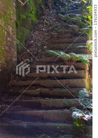 [Sarushima Island, Yokosuka City, Kanagawa Prefecture] Sarushima Island Sightseeing 139284933