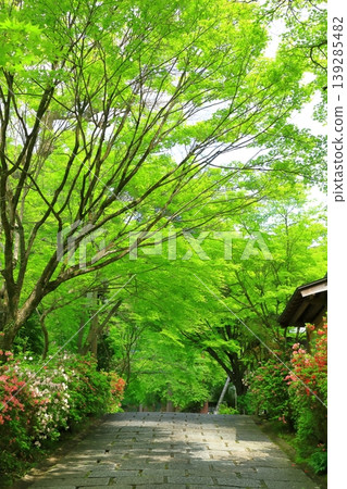 京都Mansyuin門紀念碑入口 139285482